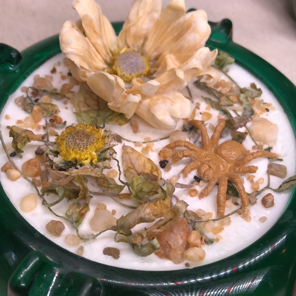 Floral Spider display